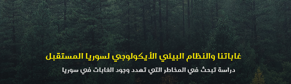 الغابات السورية , اقتصاد سوريا